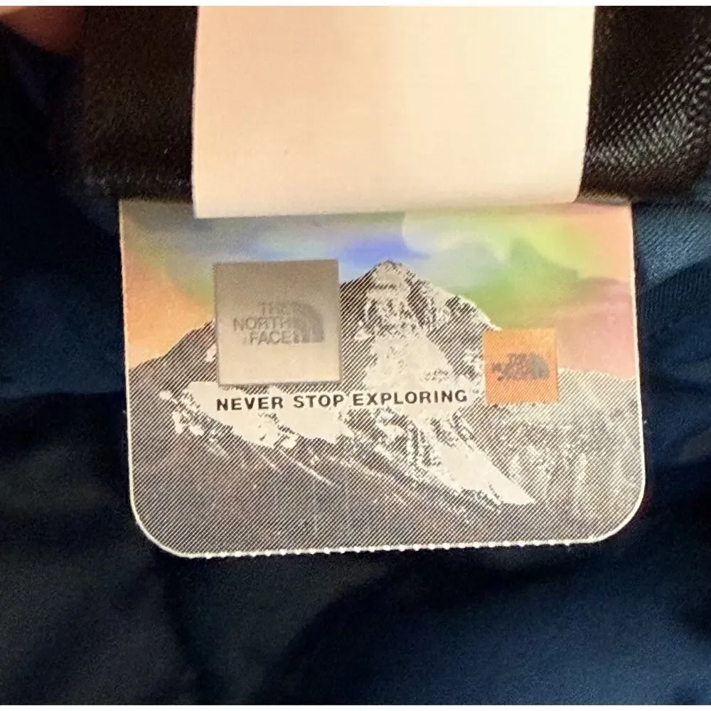 The North Face brand north